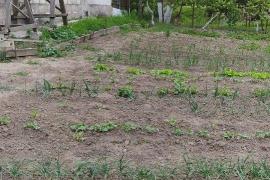 Дом 60.0 м² на участке 40.0 сот