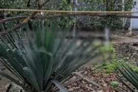 Дом 150 м² на участке 8 сот.