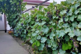 Дом 100 м² на участке 5 сот.