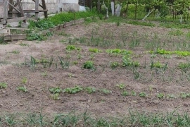 Дом 60.0 м² на участке 40.0 сот 